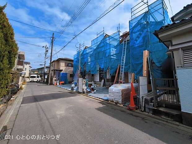 撮影日:2026/03/16