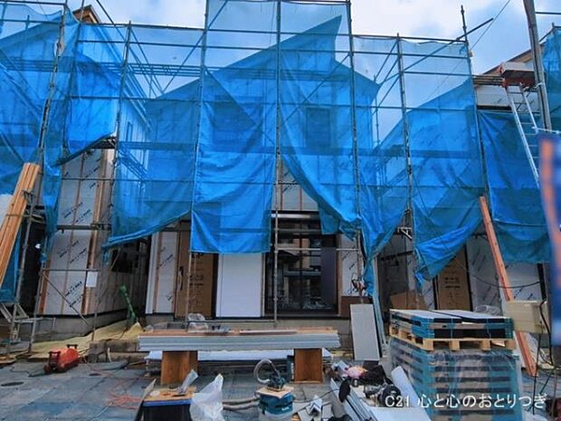 撮影日:2026/03/16