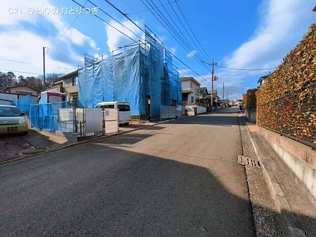 撮影日:2026/03/16