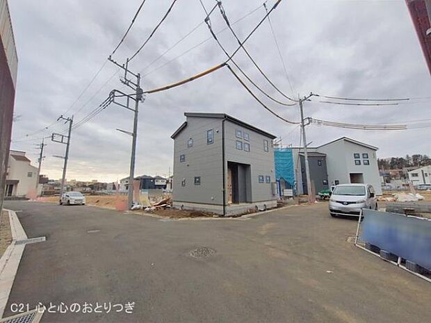 撮影日:2026/01/28