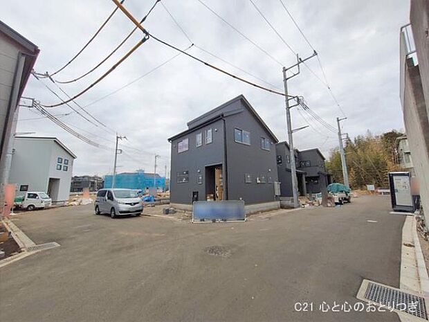 撮影日:2026/01/28