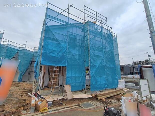 撮影日:2026/01/28