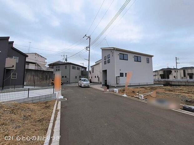 撮影日:2026/03/02