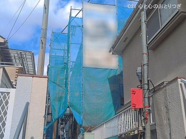 撮影日:2026/06/10