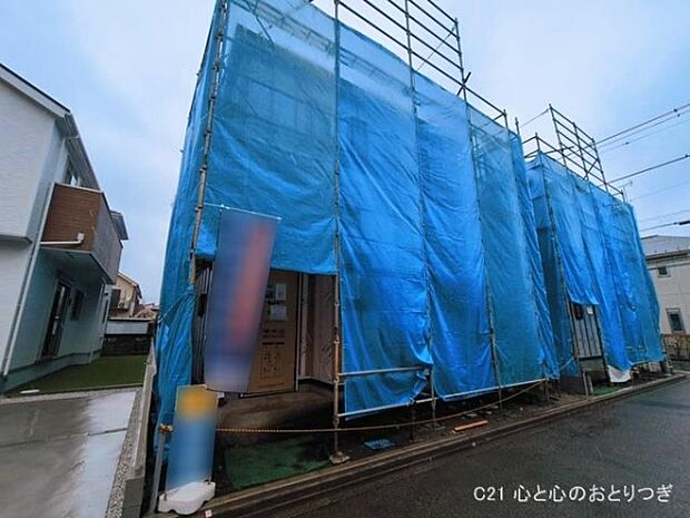 撮影日:2026/03/03