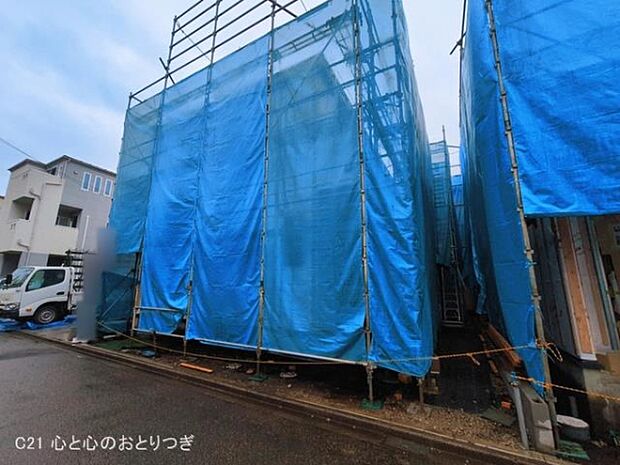 撮影日:2026/03/03