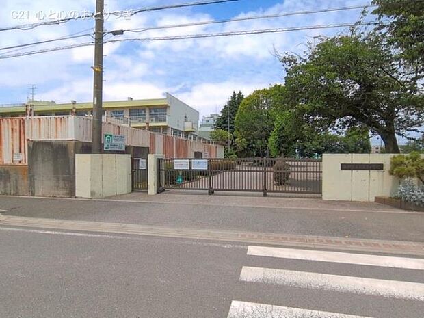 相模原市立若草小学校まで270m