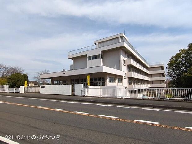 座間市立立野台小学校まで500m