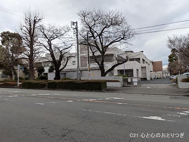 相模原市立小山小学校まで750m