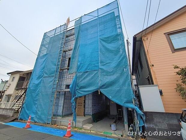 撮影日:2026/02/17