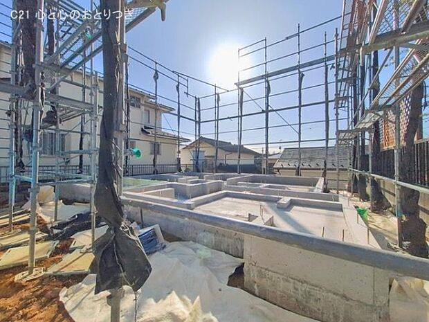 撮影日:2026/02/19