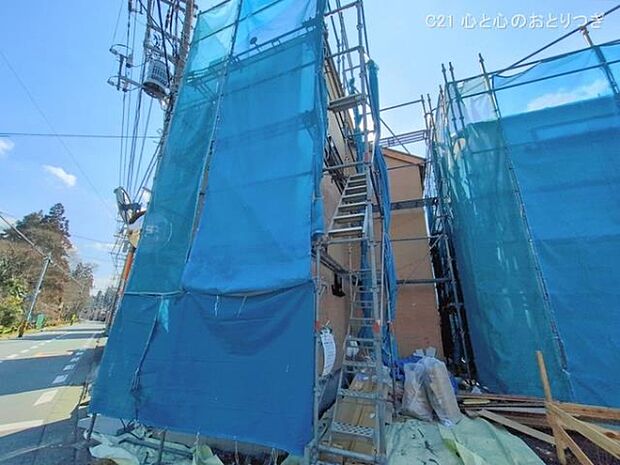 撮影日:2026/02/18