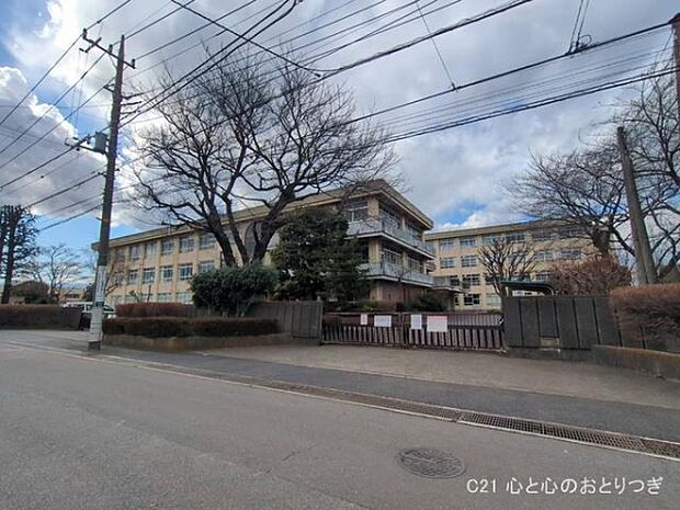 相模原市立若草中学校まで1300m