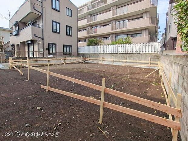 撮影日:2026/02/27