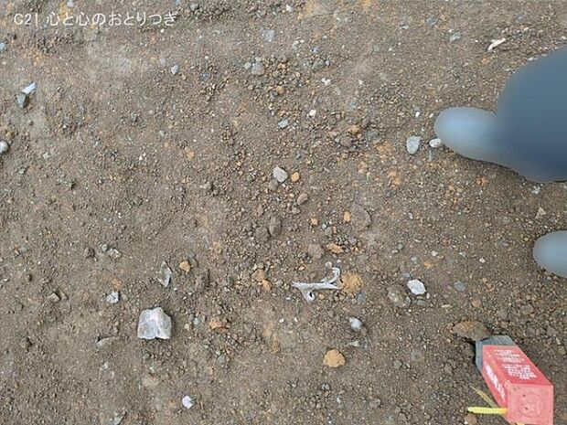 撮影日:2026/03/26