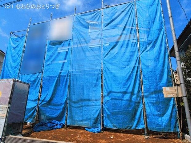 撮影日:2026/03/11