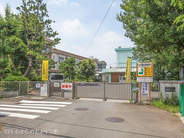 座間市立相模野小学校まで525m