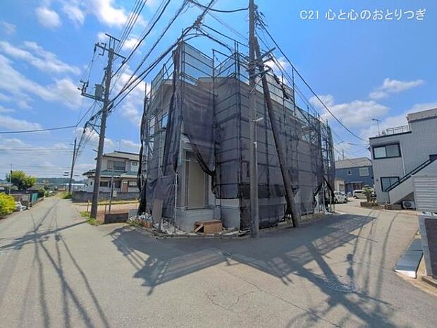 撮影日:2026/06/12