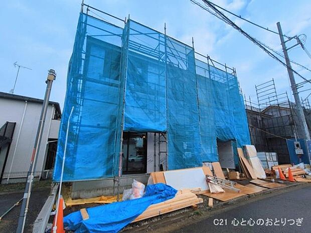 撮影日:2026/03/10