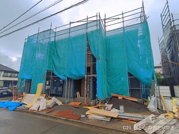 撮影日:2026/03/26