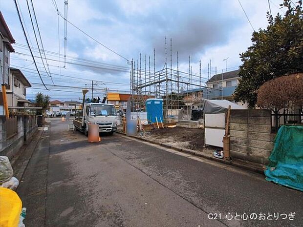 撮影日:2026/03/16