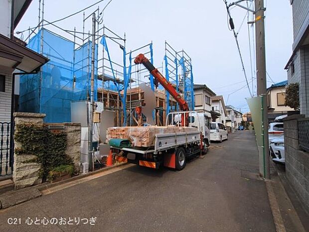 撮影日:2026/03/13