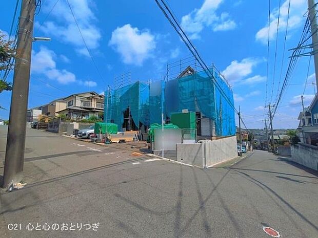 撮影日:2026/06/12