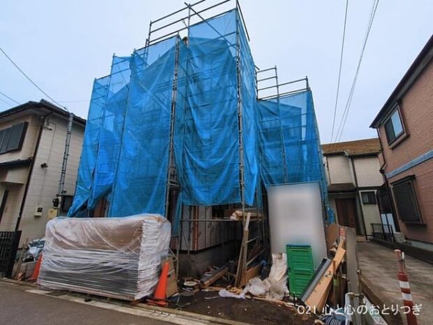 撮影日:2026/03/17