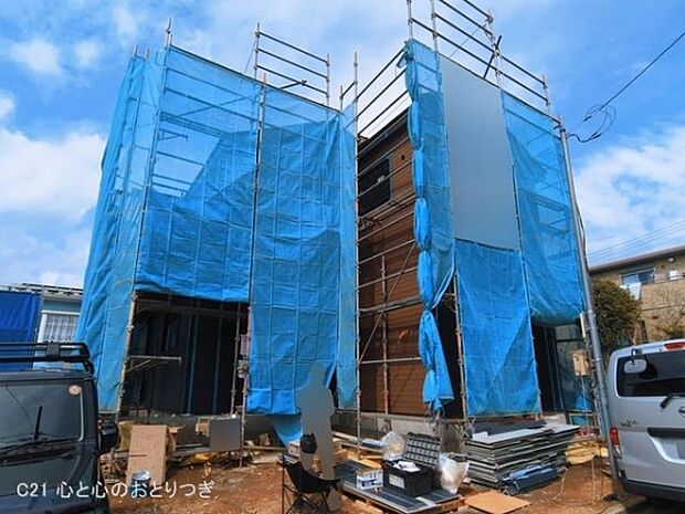 撮影日:2026/03/18