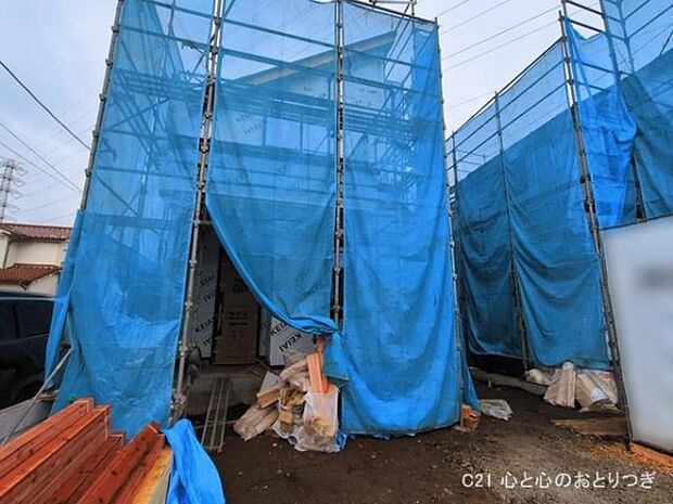 撮影日:2026/03/19