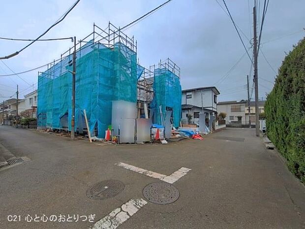 撮影日:2026/03/31