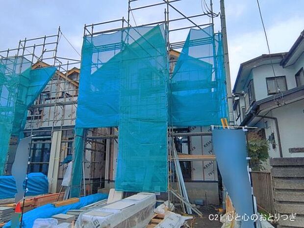 撮影日:2026/03/31