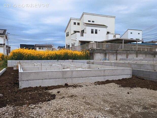 撮影日:2026/03/19