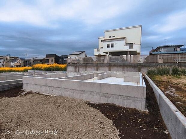 撮影日:2026/03/19