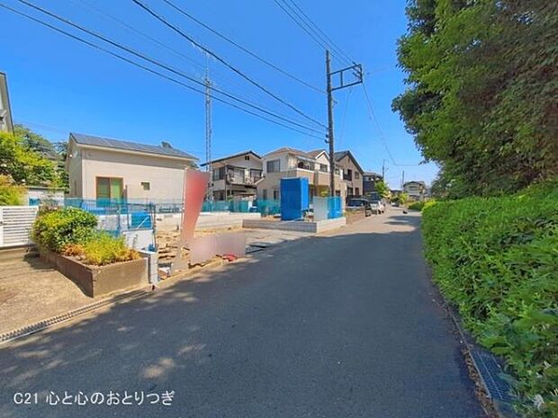 撮影日:2026/05/19