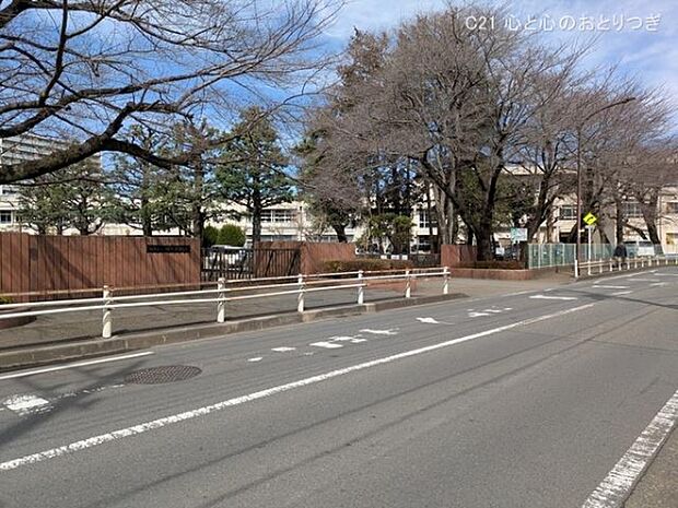 相模原市立大野北中学校まで750m