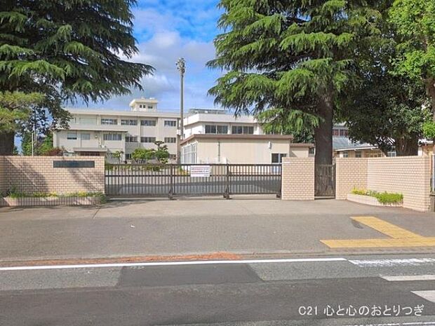 相模原市立向陽小学校まで600m