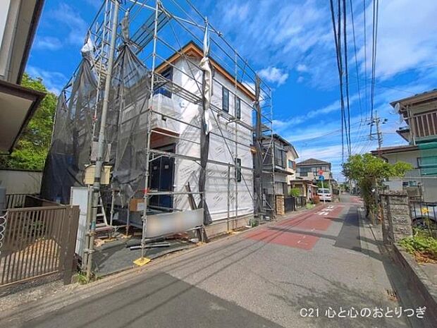 撮影日:2026/06/06