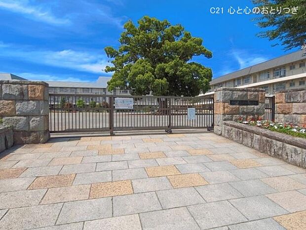 相模原市立新磯小学校まで160m
