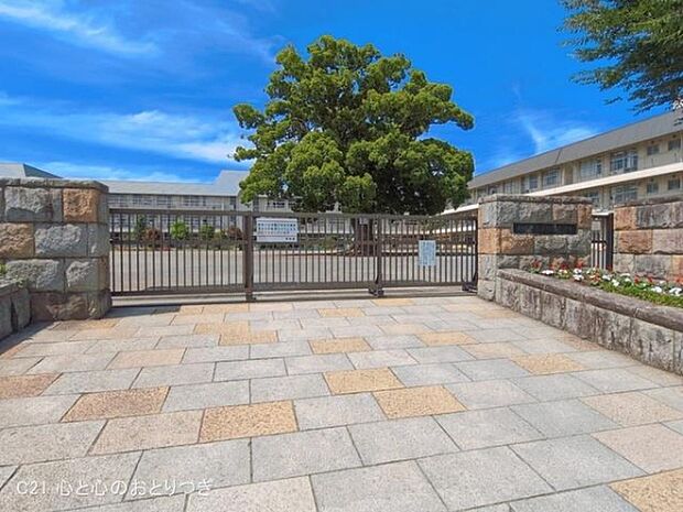 相模原市立新磯小学校まで950m