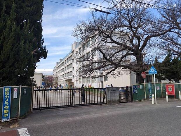 大和市立緑野小学校まで450m