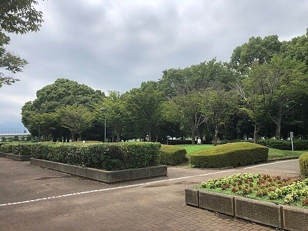 海老名運動公園まで691m