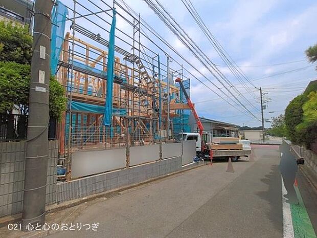 撮影日:2026/07/31