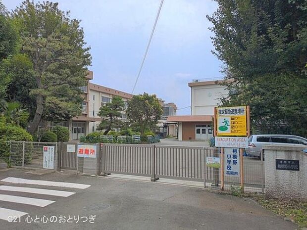 座間市立相模野小学校まで767m