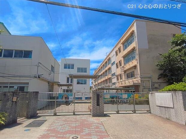 横浜市立つつじが丘小学校まで170m