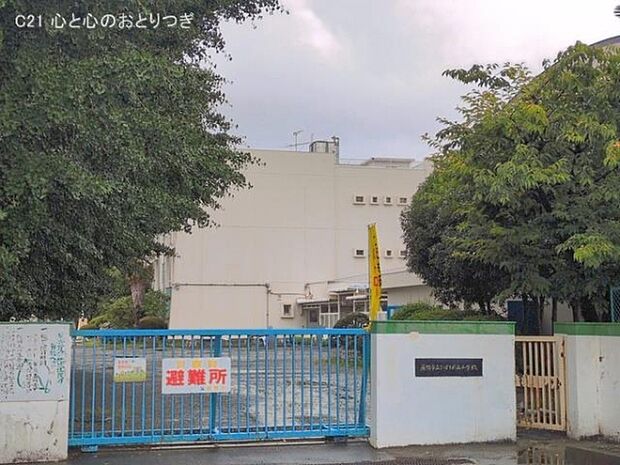 座間市立ひばりが丘小学校まで510m