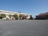 周辺：柏市立藤心小学校まで1000m