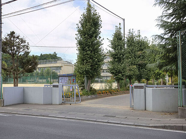 柏市立南部中学校まで965m