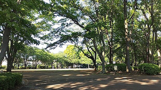 柏市南部公園まで240m