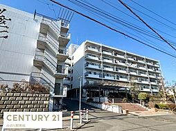 グリーンハウス南柏